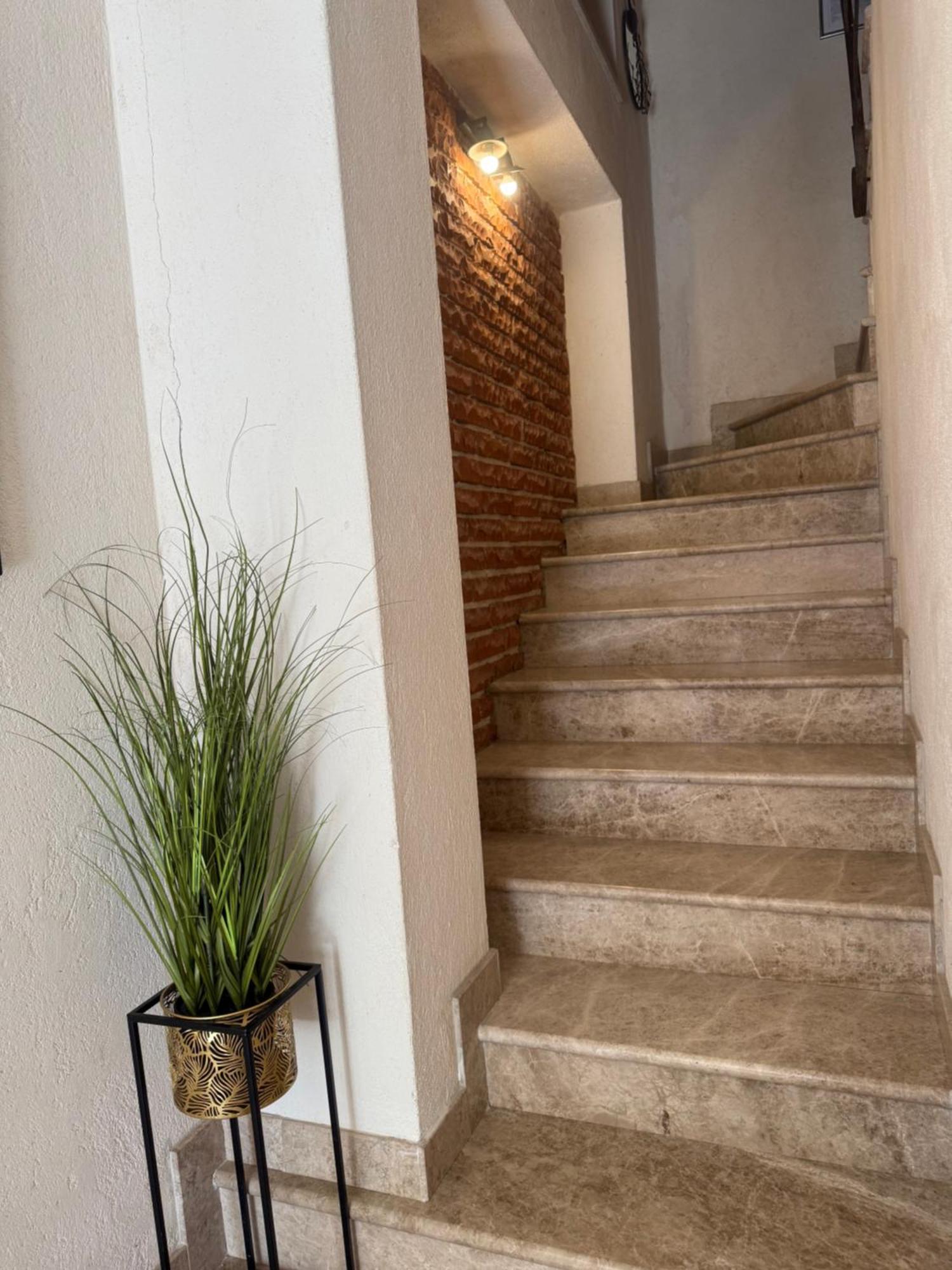Skver Studio Apartments Herceg Novi Exteriér fotografie